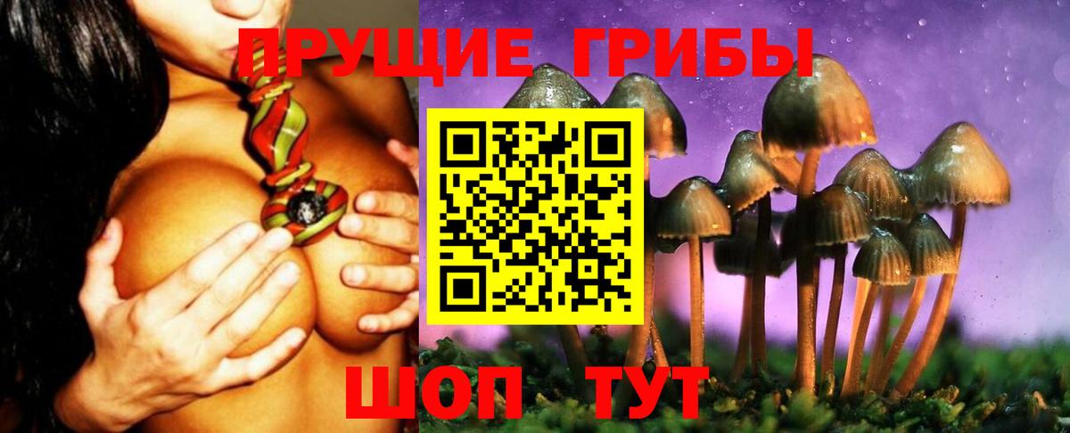 Галлюциногенные грибы Psilocybine cubensis Хабаровск